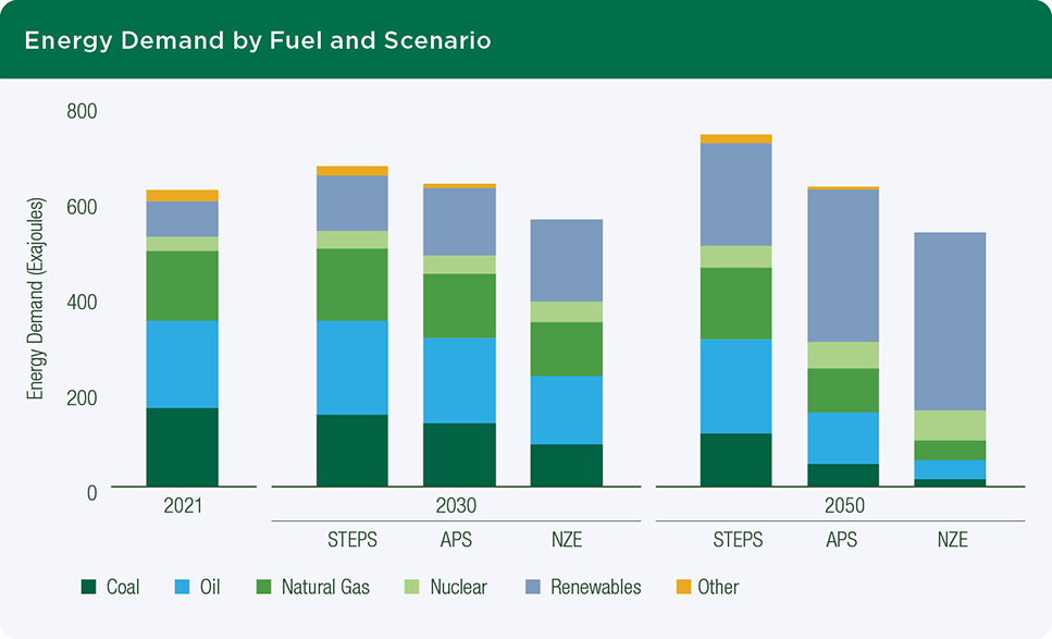 ENERGY DEMAND BY FUEL AND SCENARIO 